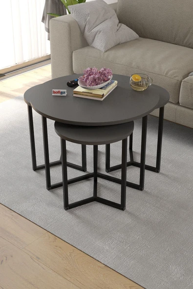 Bofigo 4lü Orta Sehpa Yan Sehpa Dekoratif Sehpa Metal Sehpa Yonca Antrasit - Resim 2