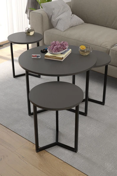 Bofigo 4lü Orta Sehpa Yan Sehpa Dekoratif Sehpa Metal Sehpa Yonca Antrasit - Resim 3