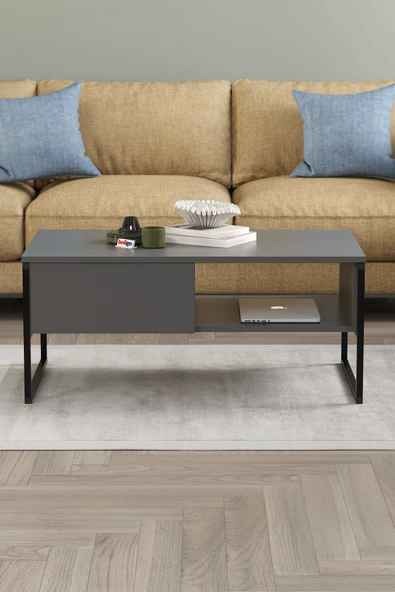 Bofigo Orta Sehpa Yan Sehpa Dekoratif Sehpa Metal Sehpa Zeus Antrasit - Resim 2