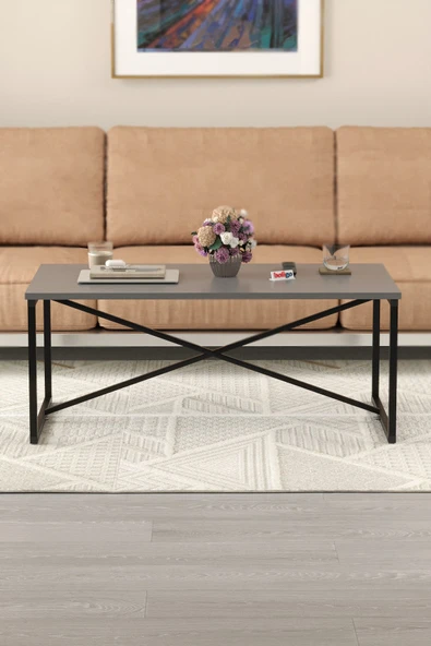 Bofigo Orta Sehpa Yan Sehpa Dekoratif Sehpa Metal Sehpa Hermes Antrasit - Resim 2