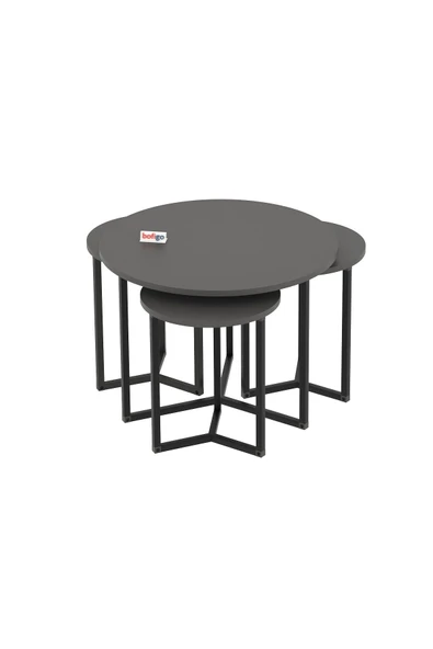 Bofigo 4lü Orta Sehpa Yan Sehpa Dekoratif Sehpa Metal Sehpa Yonca Antrasit - Resim 5