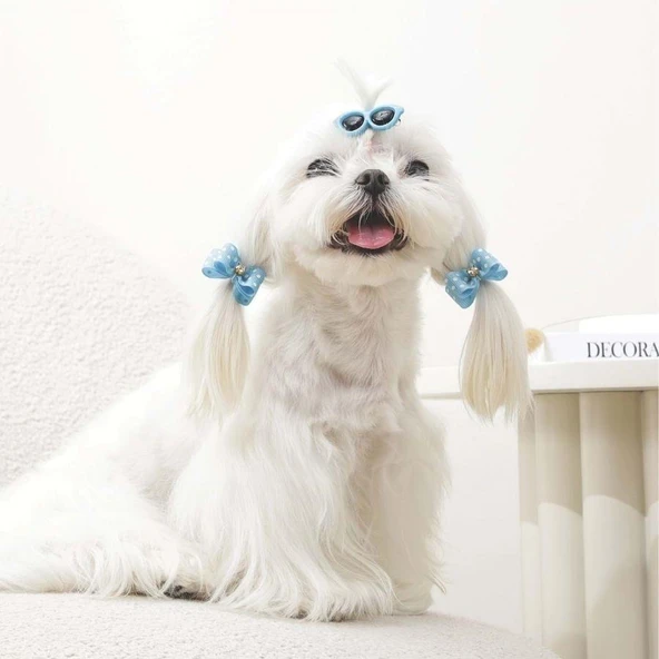 M-Pets Glam Gözlük ve Fiyonklu Kedi ve Köpekler İçin Aksesuar Toka Mavi - Resim 3