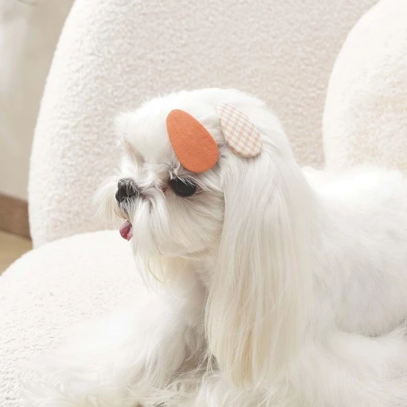 M-Pets Glam Desenli Kedi ve Köpekler İçin Aksesuar Toka Turuncu - Resim 3