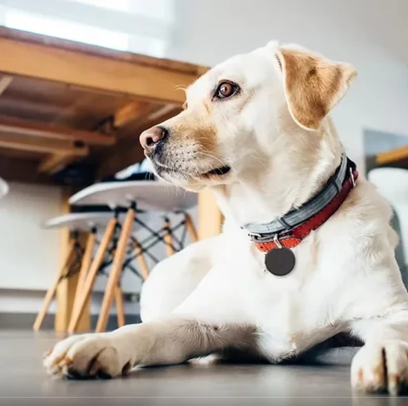 Takip Cihazı Tag Yüksek Hassasiyetli Takip Cihazı Apple-Android -ios Cİhazlar İle Uyumlu - Resim 3