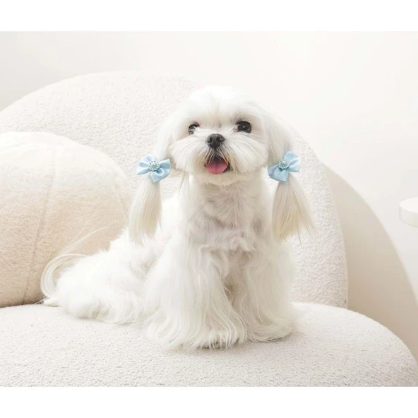 M-Pets Glam Fiyonklu Kedi ve Köpekler İçin Aksesuar Toka Mavi - Resim 3