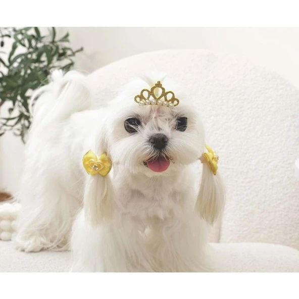 M-Pets Glam Taç ve Fiyonklu Kedi ve Köpekler İçin Aksesuar Toka Sarı - Resim 3