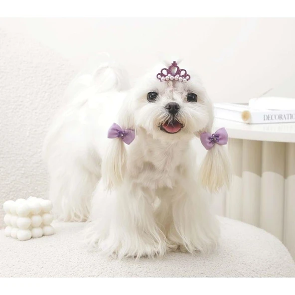M-Pets Glam Taç ve Fiyonklu Kedi ve Köpekler İçin Aksesuar Toka Mor - Resim 3