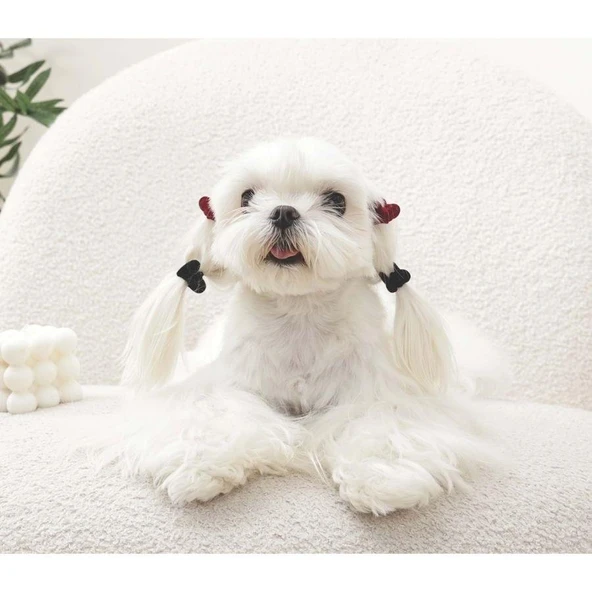 M-Pets Glam Kalpli Kedi ve Köpekler İçin Aksesuar Toka Kırmızı Siyah - Resim 3