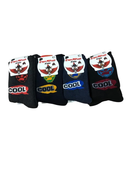 4 Lü Erkek Çocuk Pamuklu Havlu Soket Çorap Karışık Renkler - Resim 3