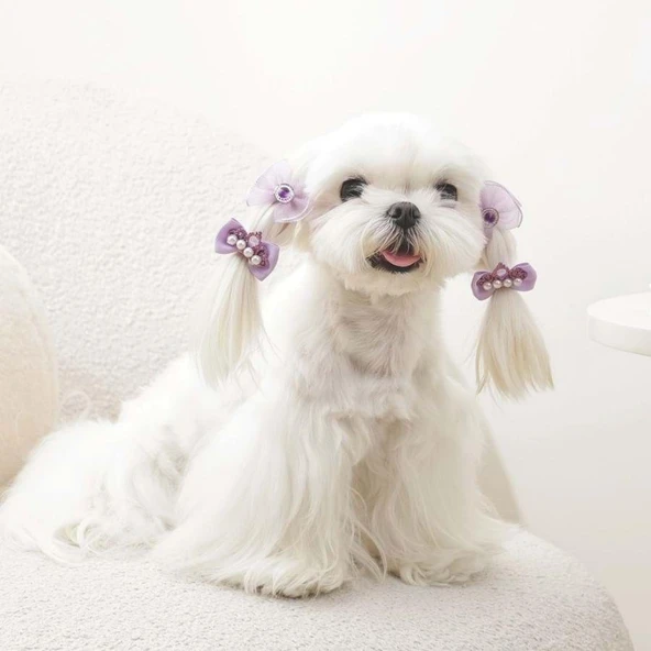 M-Pets Glam Fiyonklu Kedi ve Köpekler İçin Aksesuar Toka Mor - Resim 3