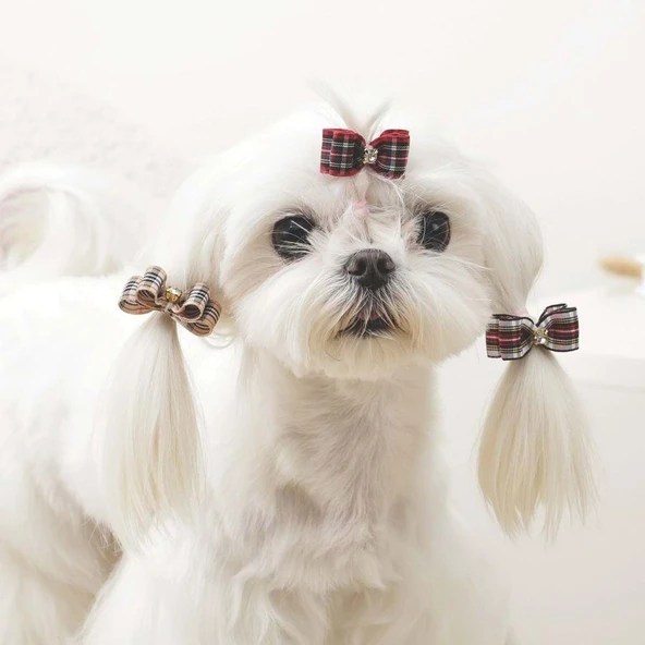 M-Pets Glam Kareli Fiyonklu Kedi ve Köpekler İçin Aksesuar Toka Kırmızı - Resim 3