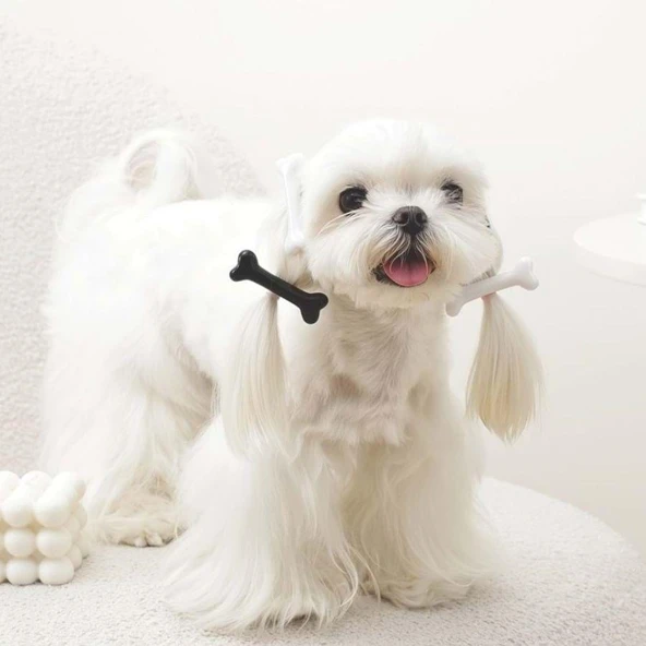 M-Pets Glam Kemikli Kedi ve Köpekler İçin Aksesuar Toka Siyah ve Beyaz - Resim 3