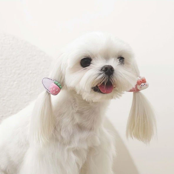 M-Pets Glam Figürlü Kedi ve Köpekler İçin Aksesuar Toka Pembe - Resim 3