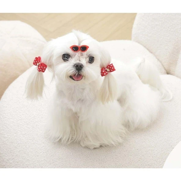 M-Pets Glam Gözlük ve Fiyonklu Kedi ve Köpekler İçin Aksesuar Toka Kırmızı - Resim 3