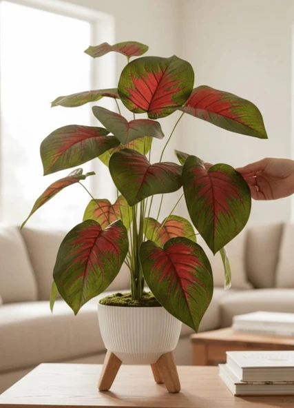 Yapay Çiçek Salon Bitkisi Kızıl Difenbahya 70cm 18 Yaprak Beyaz Zigon Saksıda ürün görseli