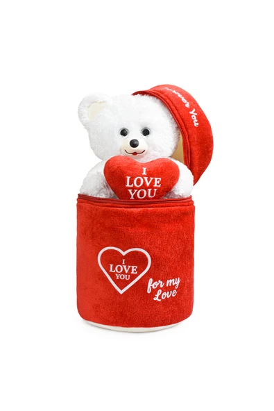 Ayıcı Oyuncak 140 Özel Kalpli (I LOVE YOU) Yazılı Sevimli Peluş Ayıcık - Peluş Çanta Içerisinde Sevgiliye ürün görseli 1