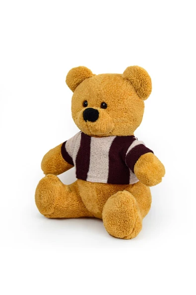 Ayıcı Oyuncak Harika Peluş 55 Cm Tişörtlü Şirin Ayıcık - Resim 2