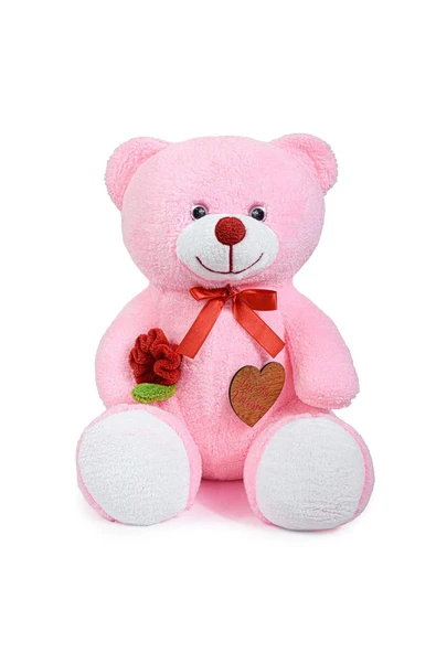 Ayıcı Oyuncak 75 Cm Elinde Gül Tutan Sevimli Ayıcık (iyiki Varsın) ürün görseli 1