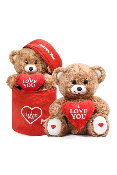 Ayıcı Oyuncak 140 Özel Kalpli (I LOVE YOU) Yazılı Sevimli Peluş Ayıcık - Peluş Çanta Içerisinde Sevgiliye - Resim 4