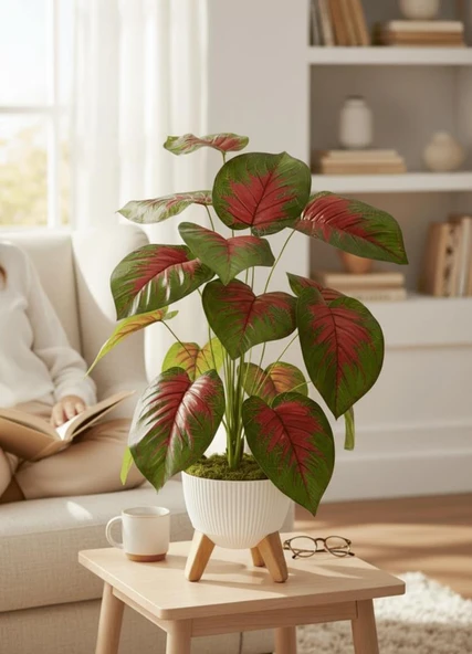 Yapay Çiçek Salon Bitkisi Kızıl Difenbahya 70cm 18 Yaprak Beyaz Zigon Saksıda - Resim 7