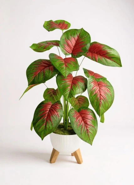 Yapay Çiçek Salon Bitkisi Kızıl Difenbahya 70cm 18 Yaprak Beyaz Zigon Saksıda - Resim 3