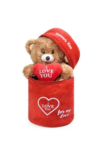 Ayıcı Oyuncak 140 Özel Kalpli (I LOVE YOU) Yazılı Sevimli Peluş Ayıcık - Peluş Çanta Içerisinde Sevgiliye ürün görseli 1