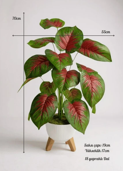 Yapay Çiçek Salon Bitkisi Kızıl Difenbahya 70cm 18 Yaprak Beyaz Zigon Saksıda - Resim 2