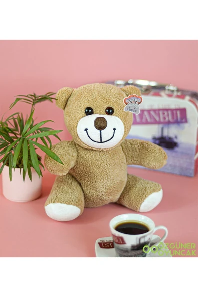 Ayıcı Oyuncak Harika Peluş 25 Cm Çiçek Ayı ürün görseli 1