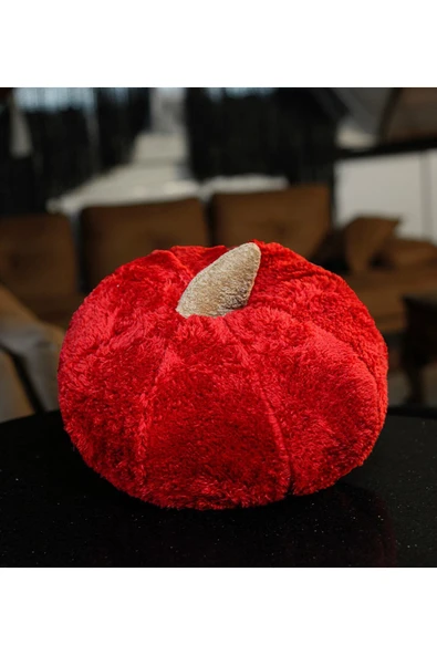 Ayıcı Oyuncak Pabtex Dekoratif 50 Cm Pelüş Kabak Kırlent ürün görseli 1