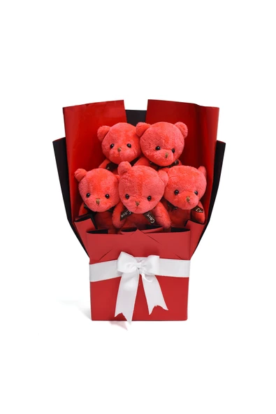 Özgüner Oyuncak Romantik Sürpriz Seti – 90 cm Peluş Oyuncak + Peluş Buket + 24 Ayar Kolye - Resim 3