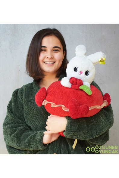 Pababo Sevimli Peluş Tavşanla Sevgi Buketi – Aşkınızı Tatlı Bir Şekilde İfade Edin - Resim 6
