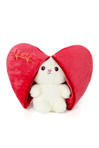 Pababo Sevgiliye Özel Hediye Seti – Kalpli Tavşan Peluş + Mini Ayıcık Buketi + LOVE Fotoğraf Çerçevesi - Resim 4