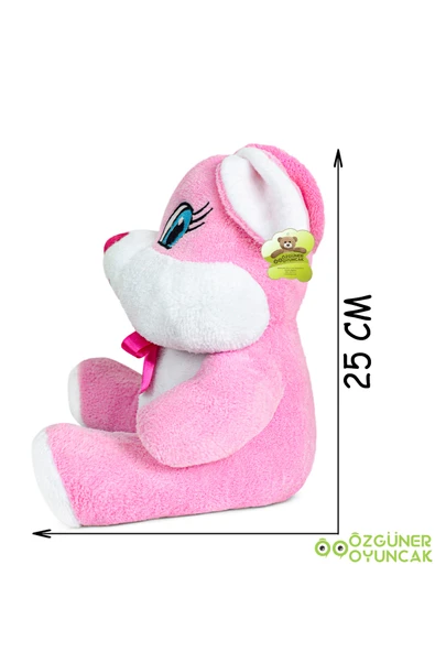 Ayıcı Oyuncak Sevimli 25 cm Çiçek Grubu Peluş Oyuncak - Renkli ve Yumuşacık - Resim 4