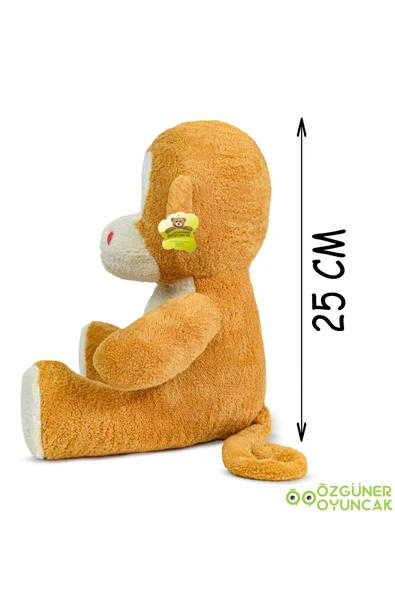 Ayıcı Oyuncak Sevimli 25 cm Çiçek Grubu Peluş Oyuncak - Renkli ve Yumuşacık - Resim 5