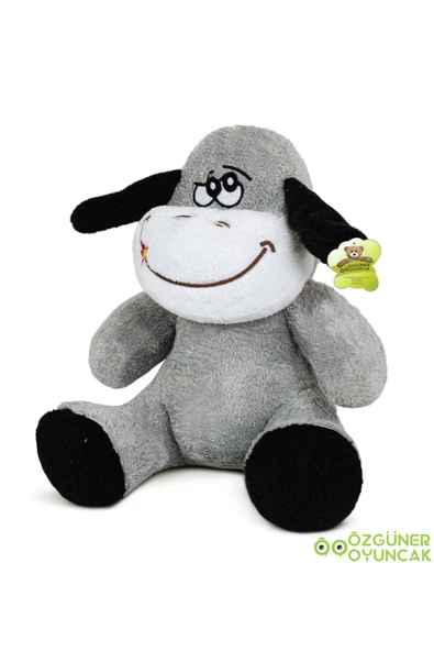 Ayıcı Oyuncak Sevimli 25 cm Çiçek Grubu Peluş Oyuncak - Renkli ve Yumuşacık - Resim 2