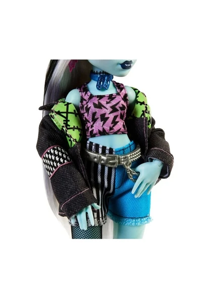 Monster High Frankie Stein HPD53 HXH73 Lisanalı Ürün - Resim 5