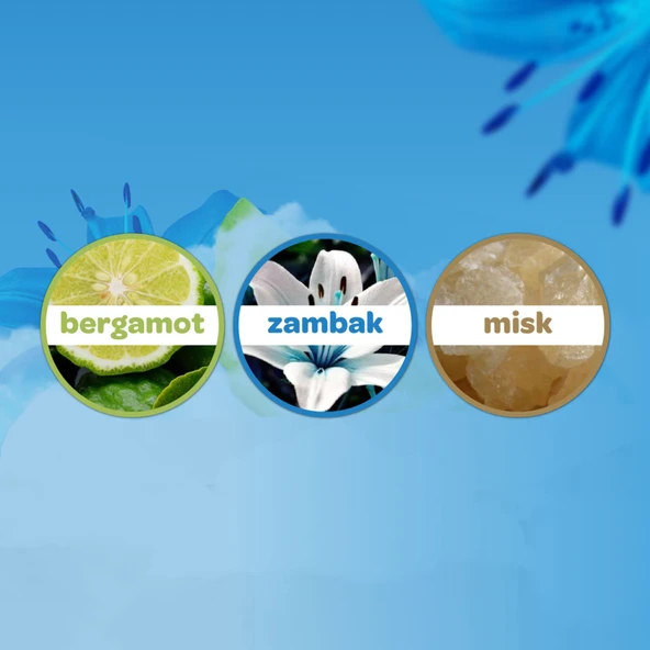 Dalin Bebek Kolonyası Deniz Esintisi 150 ml - Resim 2