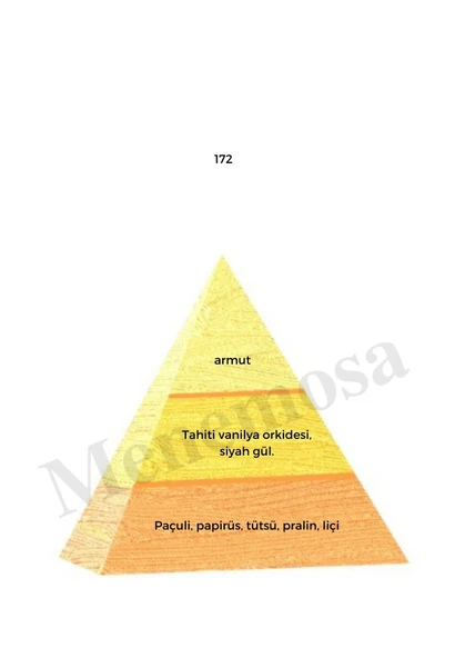 603 + 172 Erkek  / Kadın Parfüm Edp Oriental - Mnms603172 - Resim 3