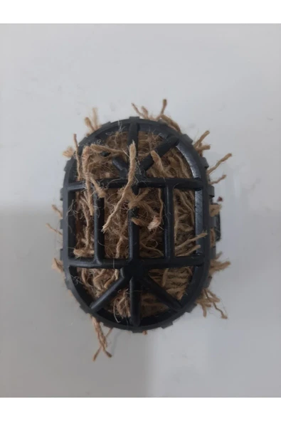 Mh Kıl Sepeti Dolu ( Kanarya Hint Bülbülü Için ) - Resim 3