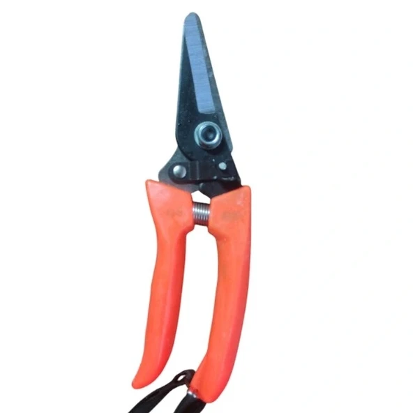 CEKATOP ( DAR AĞIZ ) ( METAL ) BAĞ MAKASI ( PLASTİK TURUNCU SAP ) ( BRKT-784696 )*12X ürün görseli