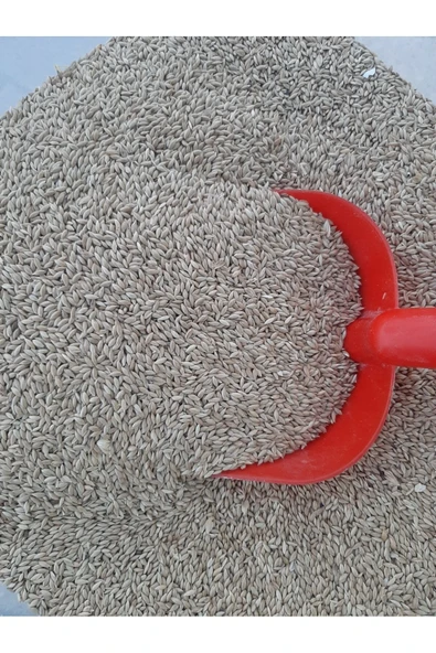 Mh Sade Kanarya Yemi (25KG) ürün görseli 1