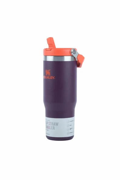 Stanley Classic IceFlow™ Flip Straw Tumbler Plum Eu Pipetli Termos | 0.89L / 30Oz Mor 10-09993-538 - Resim 5