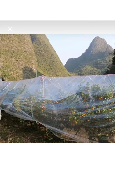 Naksan Kalın Naylon Branda Kurban Kesim Naylonu Bahçe Sera Naylonu 4x8 Eni 4 Mt Boyu 8 Mt - Resim 3