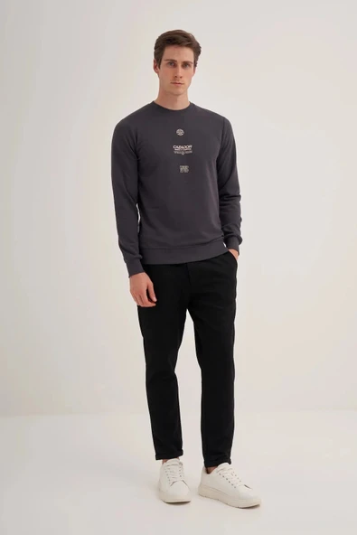 Cazador 3 iplik Erkek Antrasit Sweatshirt 5222 - Resim 3