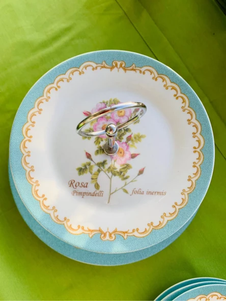 Londra'dan Vintage Bone China Kemik Porselen Çiçek Desenli 4 Kişilik Çok Renkli Pasta Tabakları ve Sunum Standı Seti - Resim 7