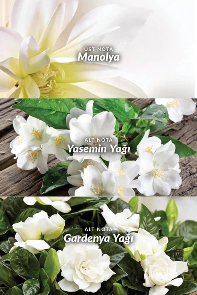 Premiere Luxe Kadın EDP - Resim 4