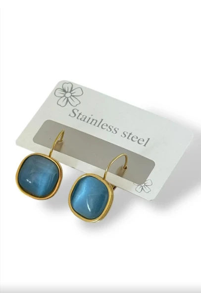 Altın Renk Taş Detaylı Çelik Küpe (Çift) ürün görseli 1