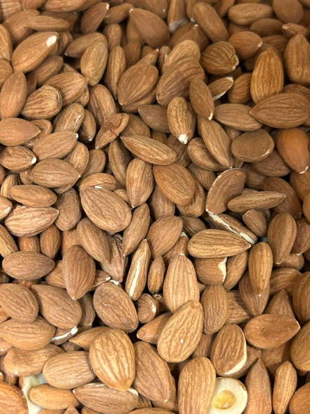 Öz Altın Kayısı Tuzsuz Kayısı Çekirdeği 1 KG - Resim 2