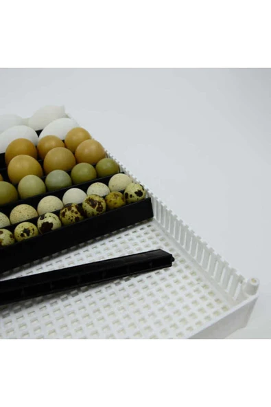 KULUÇKA GELİŞİM TABLASI AYARLANABİLİR 9 adet çıta ile sunulur(40X50 Cm) - Resim 4