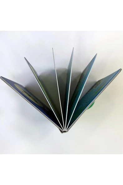 Benim İlk Kavramlar Kitabım - Yaparsam Olur - Resim 4